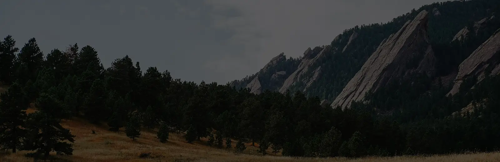 Sub Banner Image 1